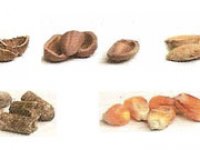Prodotti policombustibili